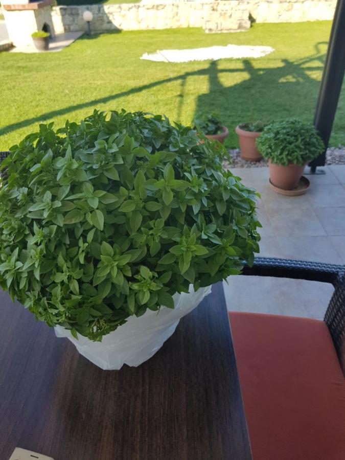 Вилла Paradise *