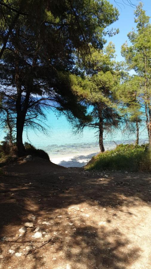 Paradise